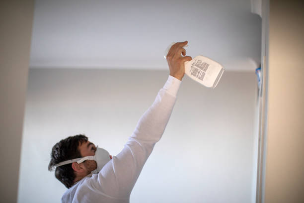 Best Localized Mold Remediation (e.g., coastal areas, humid climates) in Highland Park, MI