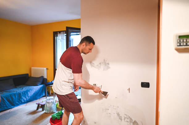 Best Post-Flood Mold Remediation in Highland Park, MI